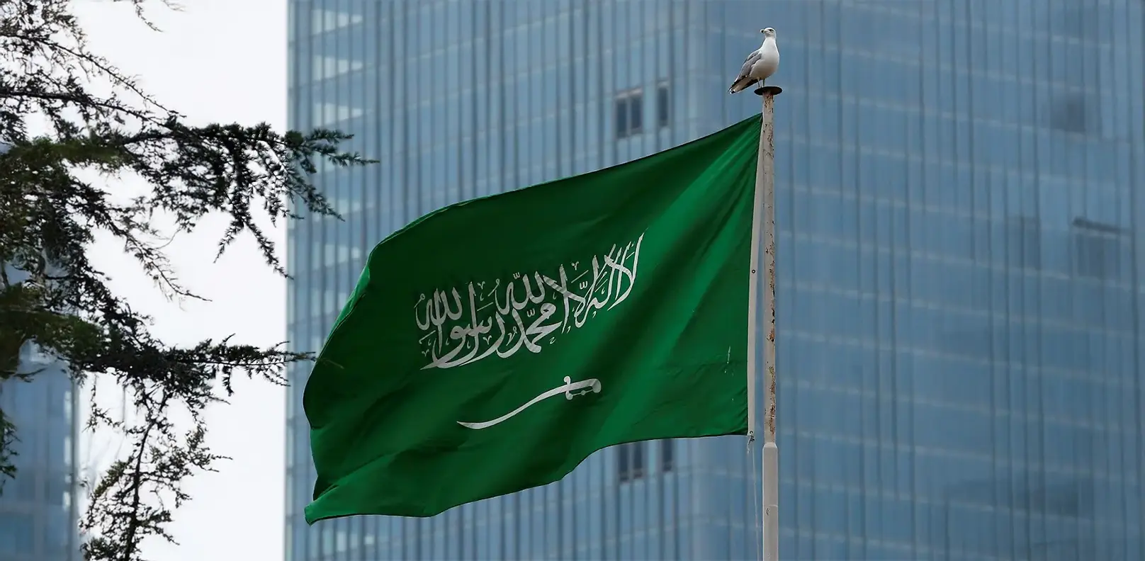 Business Registration in Saudi Arabia